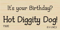 Hot Diggity Dog Birthday Greeting - 732E