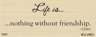Life Is Friendship Greeting - 794F