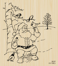 Santa with Birds Christmas Scene - 351P