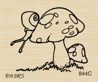 Snail Toadstool - 844C