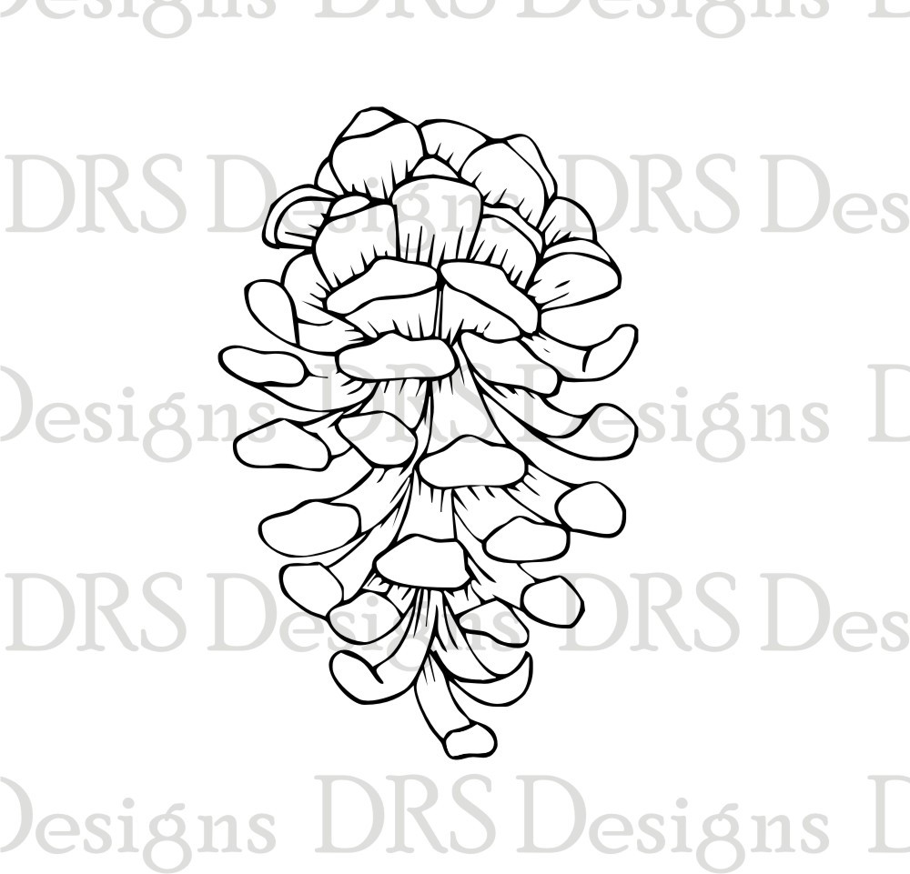 pine cone coloring page