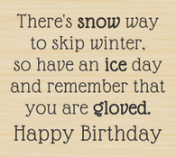 Ice Day Birthday Greeting - 1103F