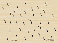Raindrop Background - 1012H