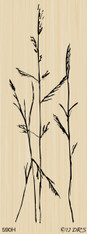 Long Tall Wheat - 590H