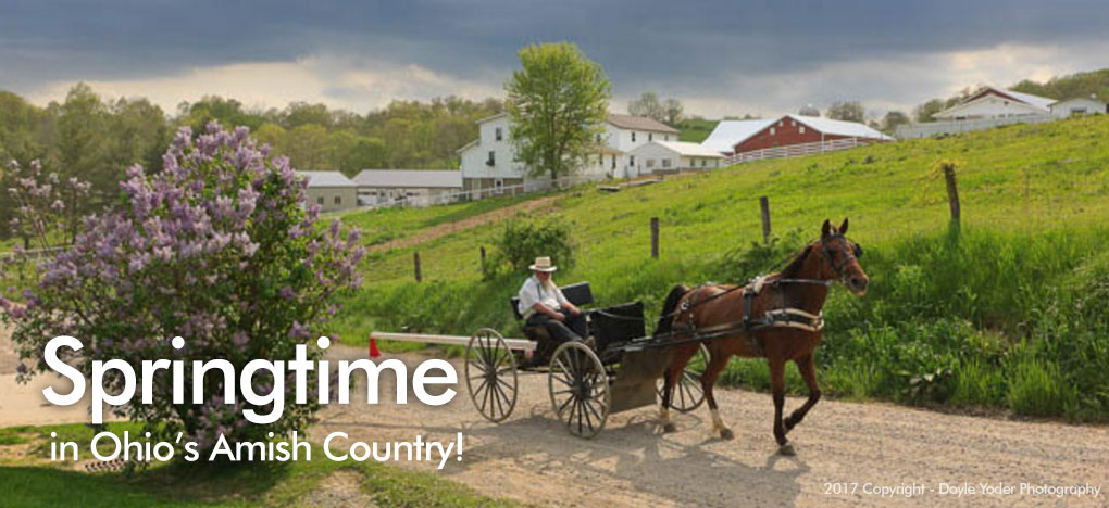 Ohio Amish Country Visitors Guide | Plan An Amish Country Trip