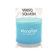 Viccolor Car Air Freshener, 30 Packs, Squash