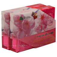 Treefrog Fresh Box Mini Sakura Blossom - YirehStore.com