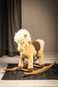 Steiff Franzi Pony Rocking Horse EAN 048906 
