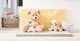 Fynn Teddy Bear EAN 111327 with extra large Fynn Teddy Bear EAN 111389, Lotte Teddy White EAN 111310, and Lotte Teddy Bear White EAN 111778
