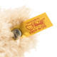 Steiff Fynn Teddy Bear EAN 111372 (ear tag)