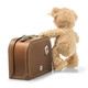 Fynn Teddy Bear In Suitcase EAN 111471 - Back view