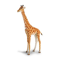 Studio Giraffe, 100 Inches, EAN 502309