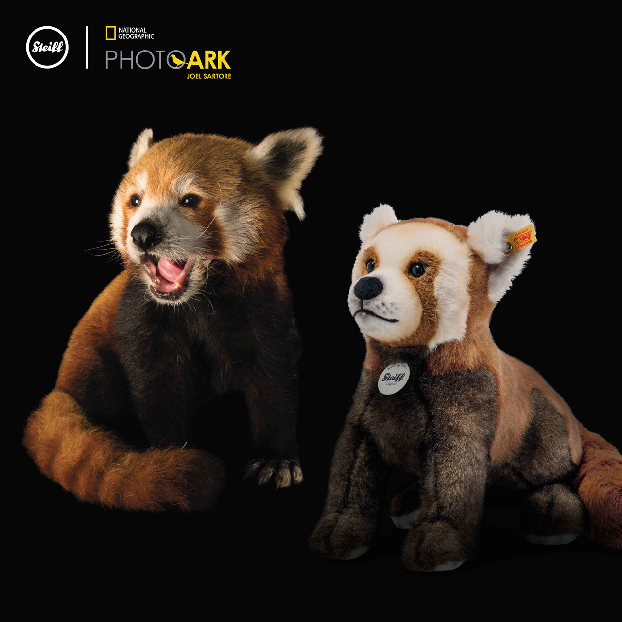 steiff red panda