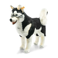 Studio Life-Sized Husky Dog, 31 Inches, EAN 502996