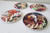 11cm circular ceramic printed coasters with NZ birds & floral background