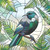 InTUItion NZ Tui bird stained glass frosted window film