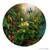 Earthly Delights' featuring a NZ flying Tui in tropical setting -round, Kiwiana, New Zealand art print for sale