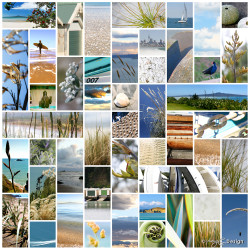 Kiwiana NZ photo art collage print featuring beachscapes, sand, flax -art print for sale.