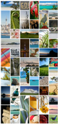 Auckland Kiwiana photo collage featuring Tui, Rangitoto, Piha, One Tree Hill, Skytower etc.