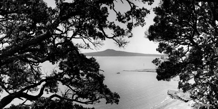 Rangitoto and Pohutukawa, St. Heliers, Auckland, NZ - photography landscape print for sale.