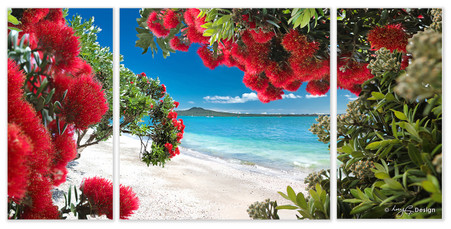 Glendowie Auckland, NZ - Pohutukawa and Rangitoto landscape photography print for sale