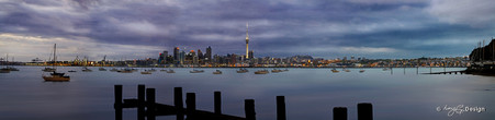 Auckland, New Zealand cityscape showing the skyline and Skytower - landscape photo print for sale.