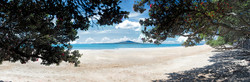 Takapuna Beach, Rangitoto and Pohutukawa beach scene, Auckland, NZ - landscape photo print for sale.