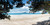 Takapuna iBeach, Rangitoto and Pohutukawa beach scene, Auckland, NZ - landscape photo print for sale.