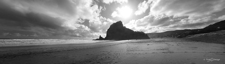 Piha Beach, West Coast, Auckland, NZ,  Lion Rock, beach & seascape - landscape photo print for sale.