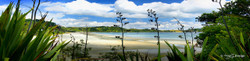 Onetangi Beach, Waiheke Island, NZ - panoramic landscape photo print for sale by Lucy G