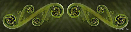 New Zealand fern frond photo art  / Maori Kowhaiwhai pattern - art print for sale.