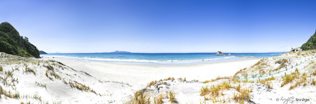 Mangawhai Heads, Northland, NZ showing sanddunes and sea - landscape photo print for sale.