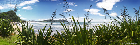 Hot Water Beach, Coromandel, NZ, showing flax, beach and sand - landscape photo print for sale.