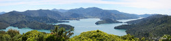 Queen Charlotte Sounds, Malborough Sounds, South Island, New Zealand - landscape photo print for sale.