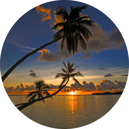 Round wall decal - 'Palms 2'