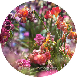 Round wall decal - 'Spring Blooms 3'