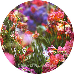 Round wall decal - 'Spring Blooms 4'