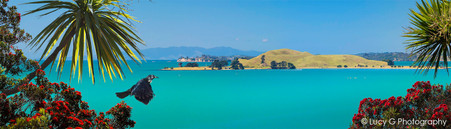 Brown's Island, Pohutukawa, flying Tui bird, cabbage trees and sea - photo wall art print for sale