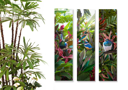 Tui, Kingfisher and Kereru with tropical plants - set of 3 NZ art prints / wall art for sale