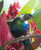 ''Hope'' tropical NZ Tui bird in lush garden setting.  A3 oval photo prints for sale - detail.