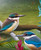 ''Harmony'' tropical NZ Kingfisher in lush river setting.  A3 oval photo prints for sale  - detail
