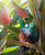 ''Hidden Jewel'' tropical NZ Tui bird in lush garden setting.  A3 oval photo prints for sale - detail.