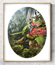 NZ Waxeye / Silvereye birds in lush garden setting - oval photo art print / wall art for sale