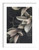 Magnolia art print in white frame