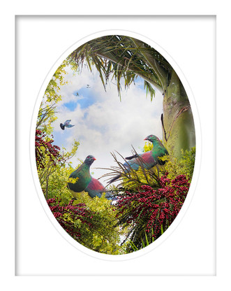 '' Birds of a Feather'' woodpigeon framed art paper print