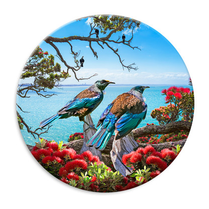 'Tui Vista'' NZ Wood Pigeon circular ceramic wall art tile 20cm diameter