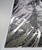 Woodpigeons NZ art print - silver foil detail