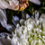 "Chrysanthemum  1 '' closeup detail