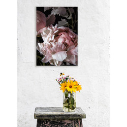 Pink peony stretched wall art photo canvas