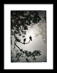 ''Together'' Tui silver foil print